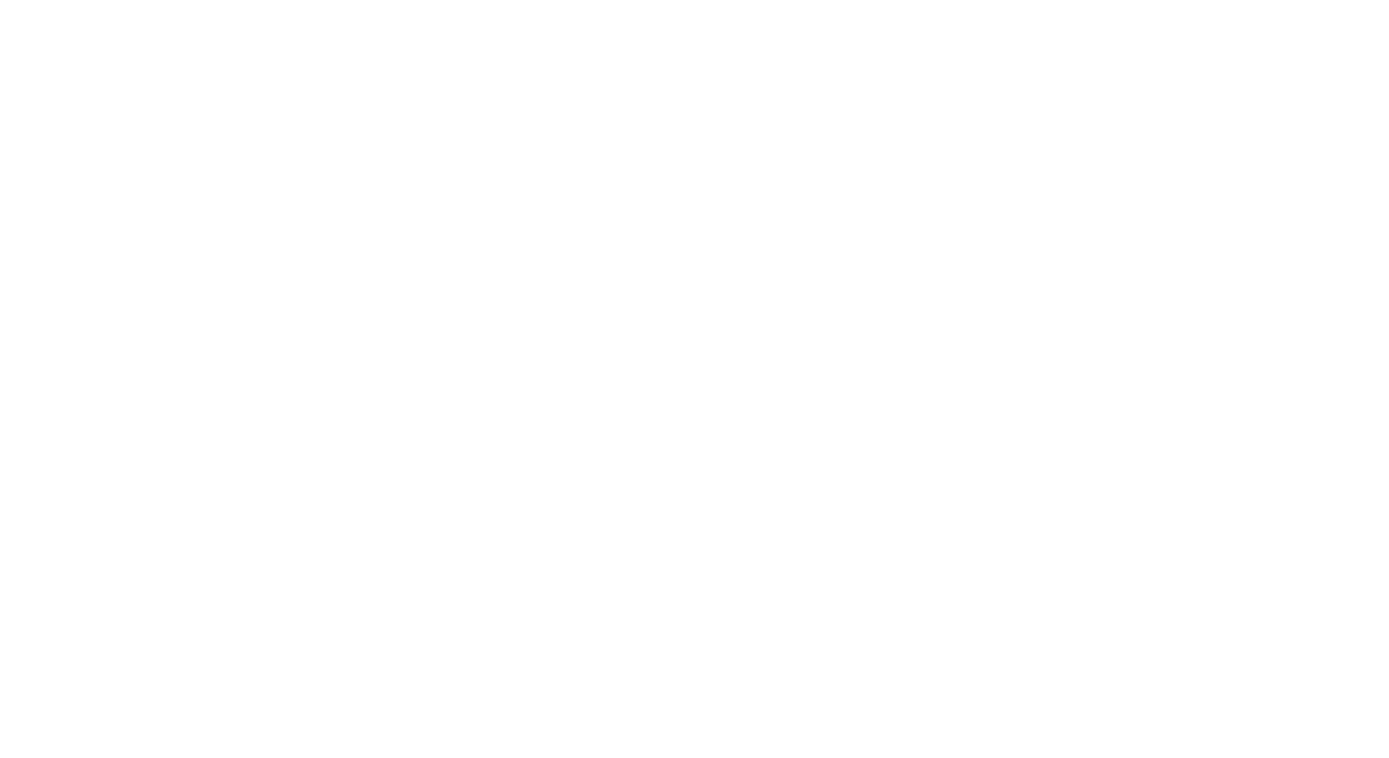 BLUEview Network logo